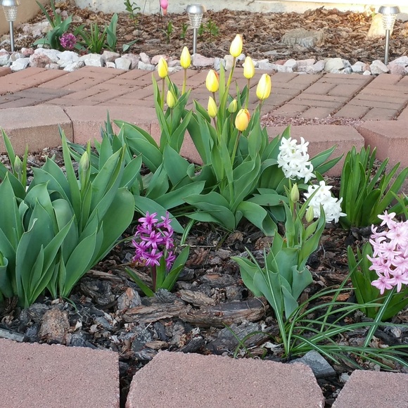 Meet your Posher, Julia - Picture 4 of 6